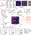 Extended Data Fig. 9.