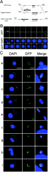 FIG. 2.