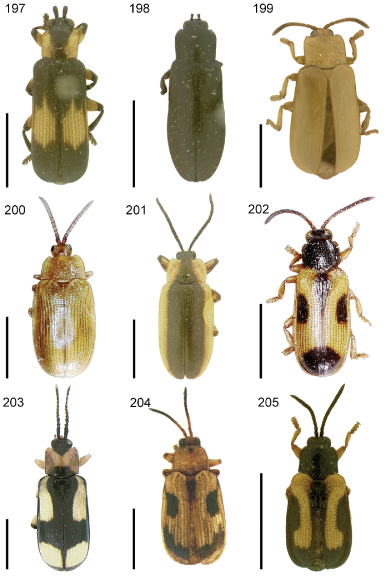 Figures 197–205.
