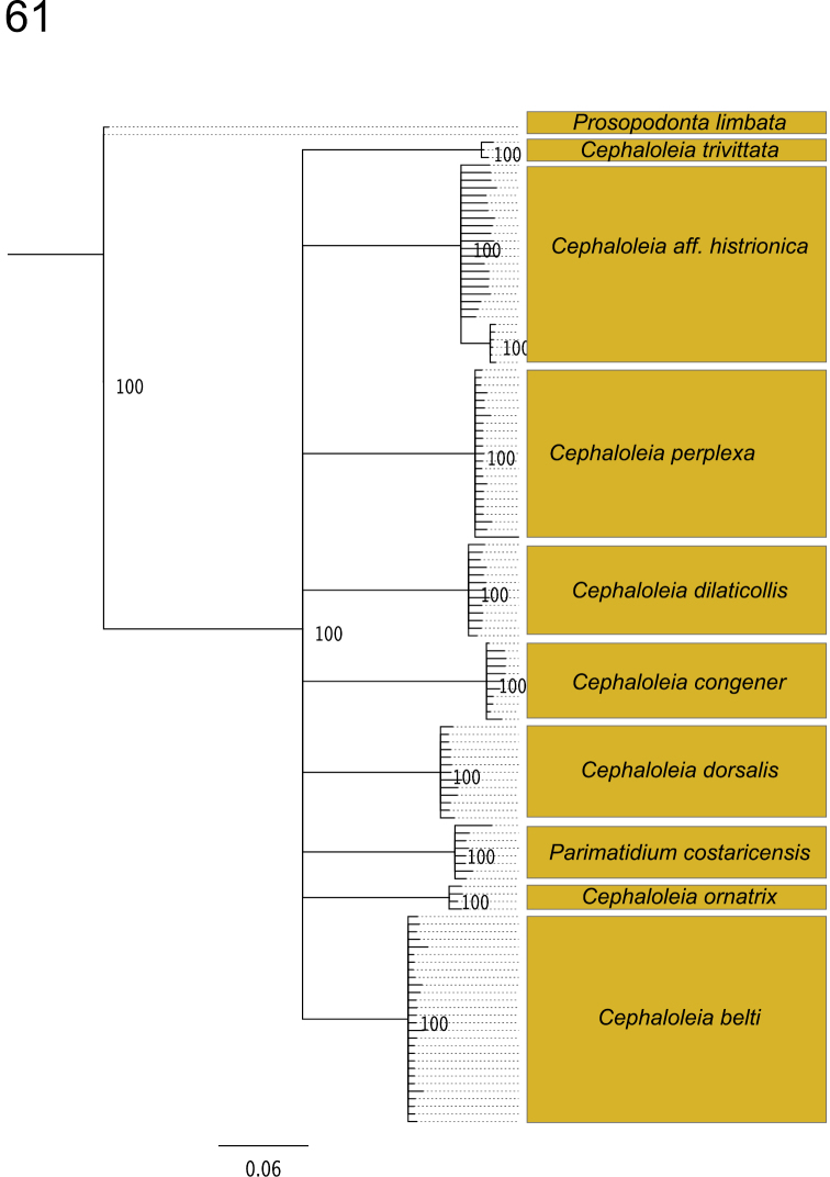 Figure 61.