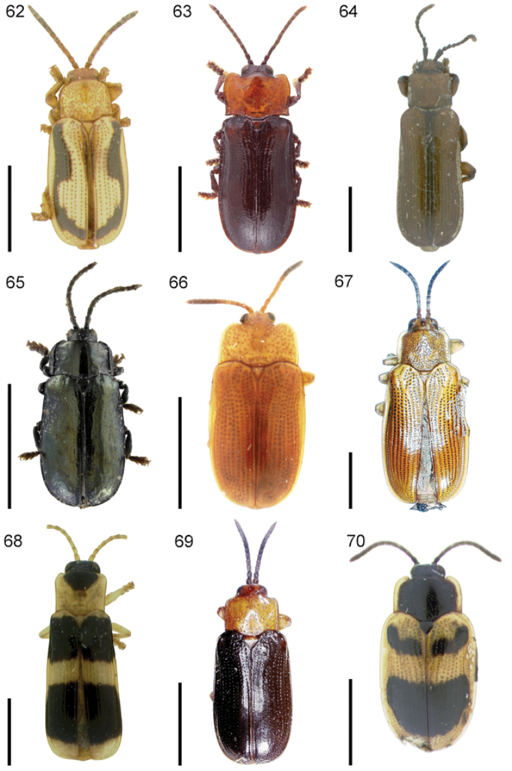 Figures 62–70.