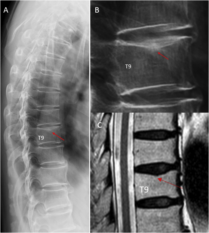 Figure 10