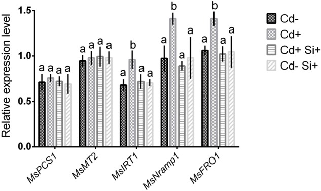 FIGURE 5