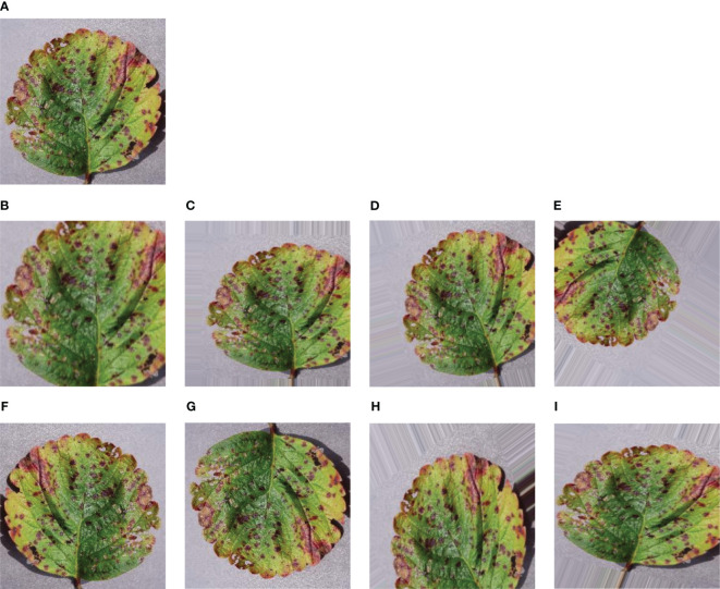 Figure 3