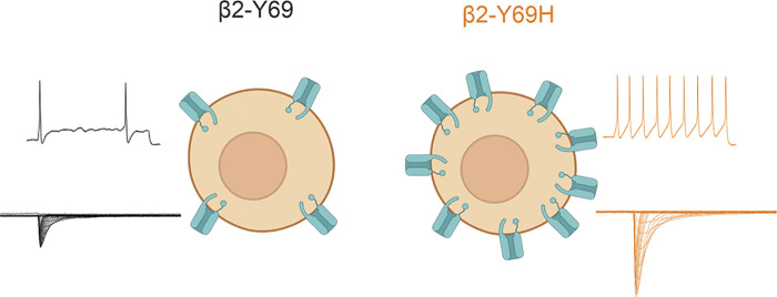 Figure 6.