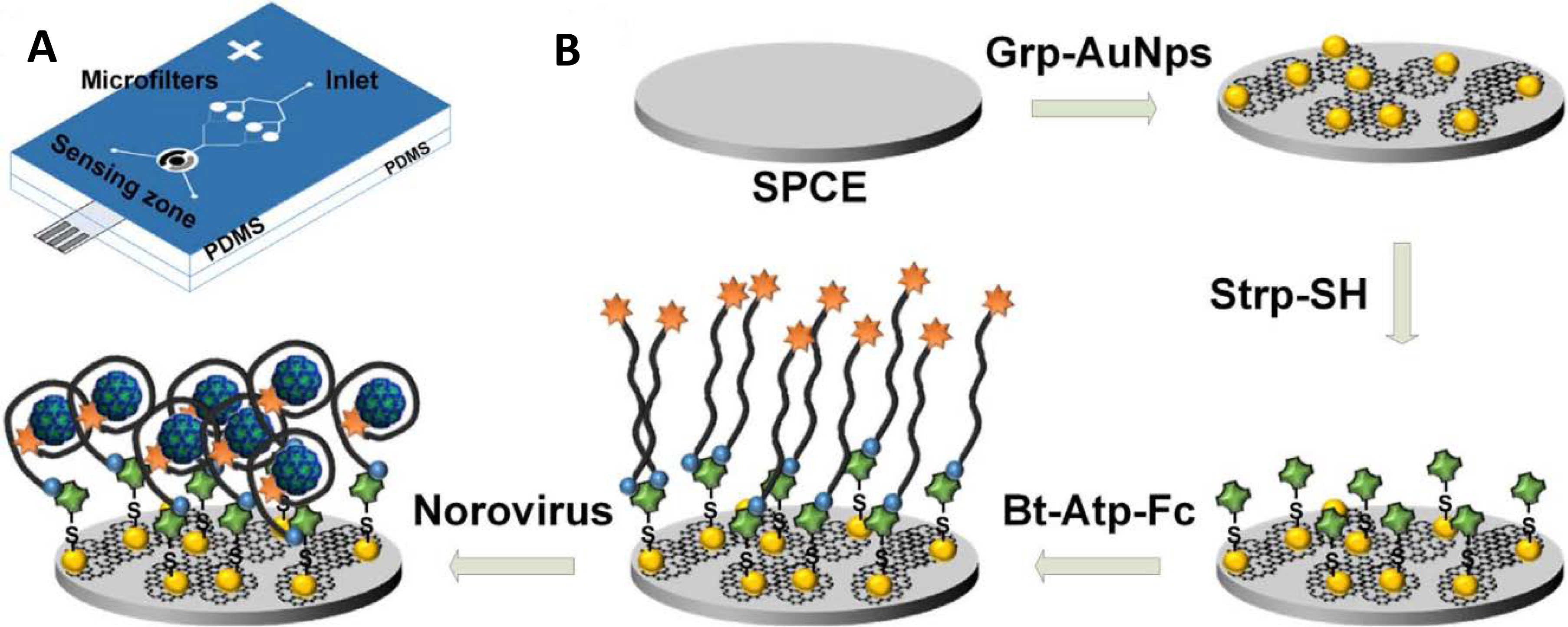 FIGURE 12