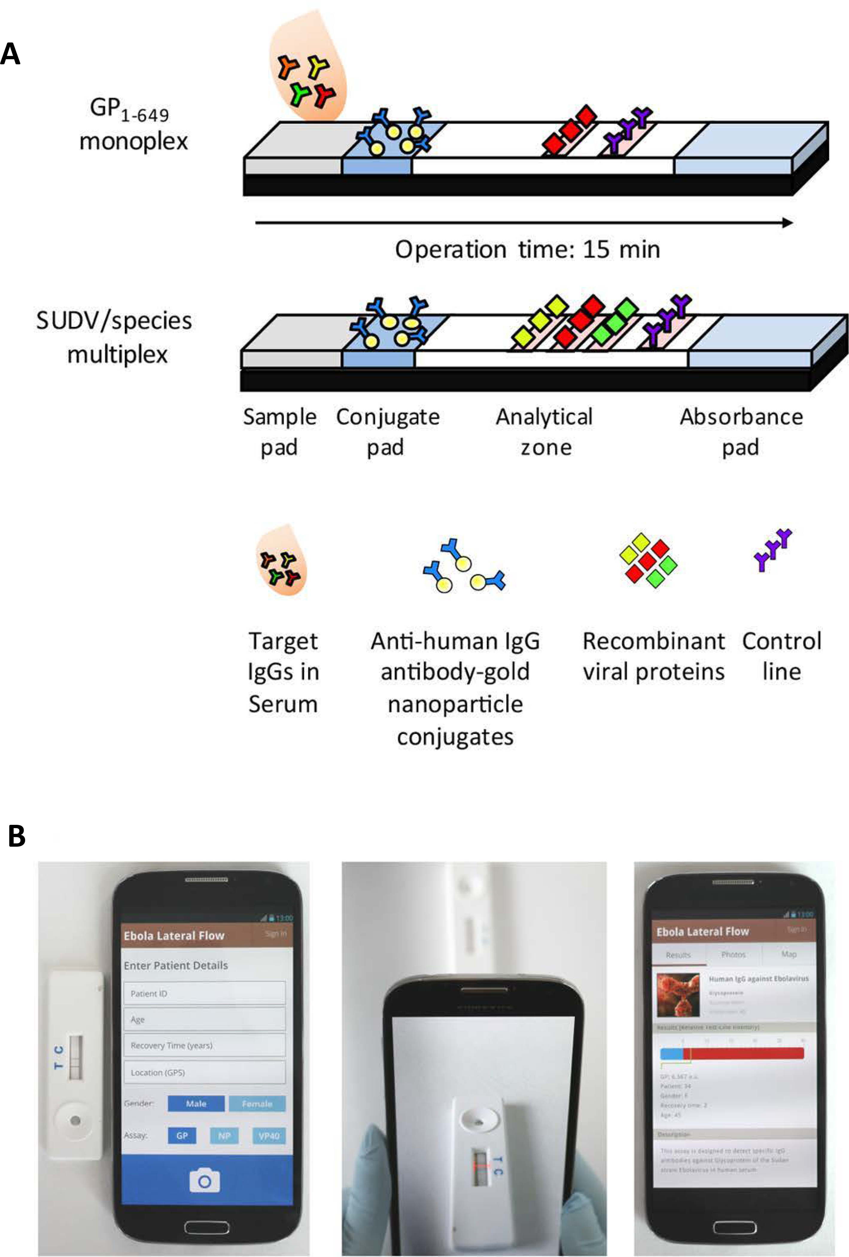 FIGURE 14