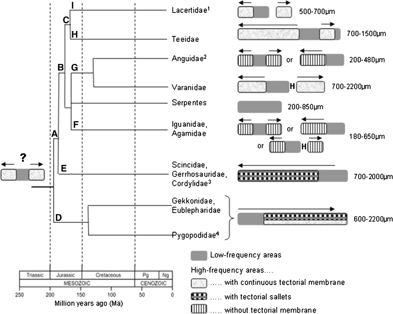 FIG. 7