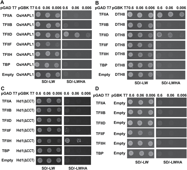 Fig. 10.