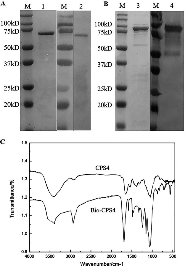 FIG 1