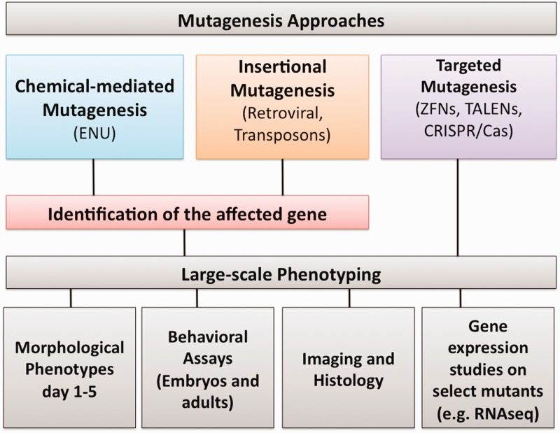 Figure 1: