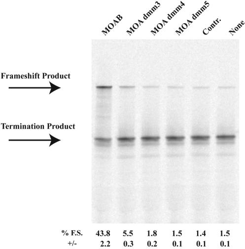 FIGURE 4.