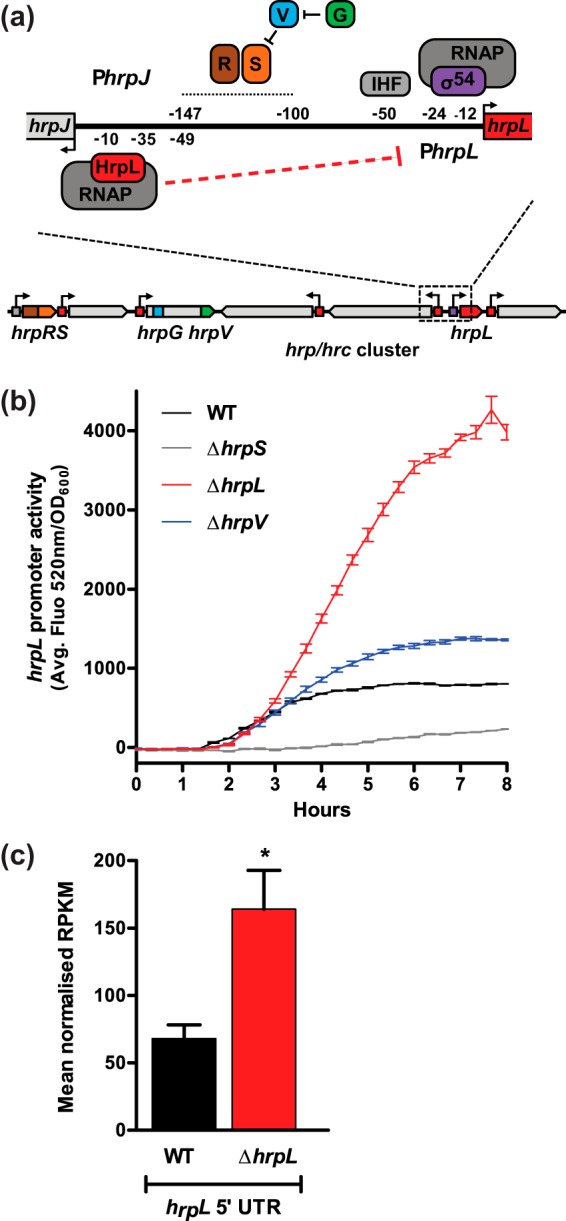 FIG 1 