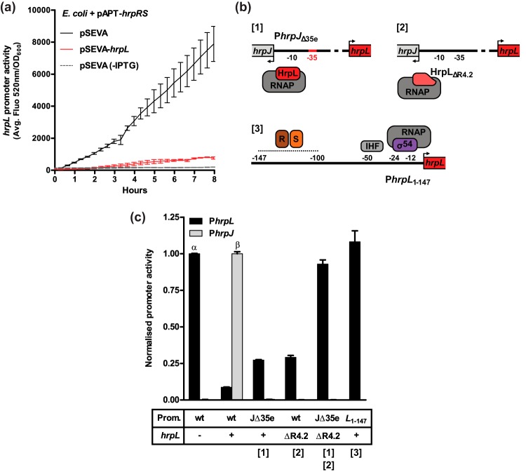 FIG 3 