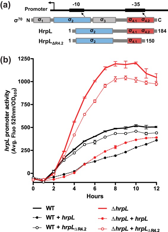 FIG 2 