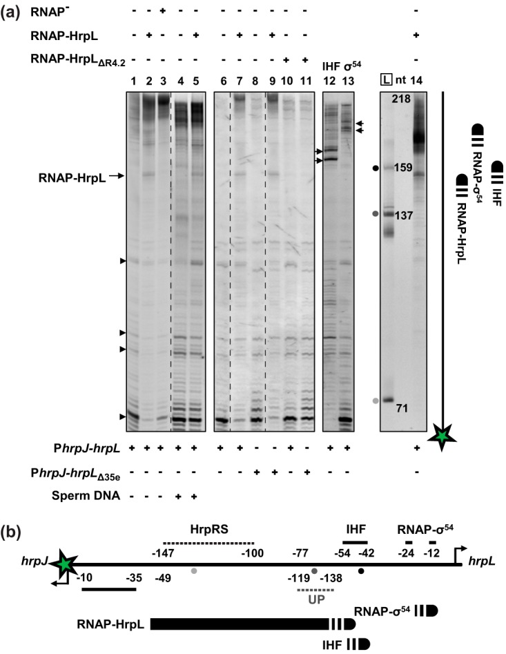 FIG 4 