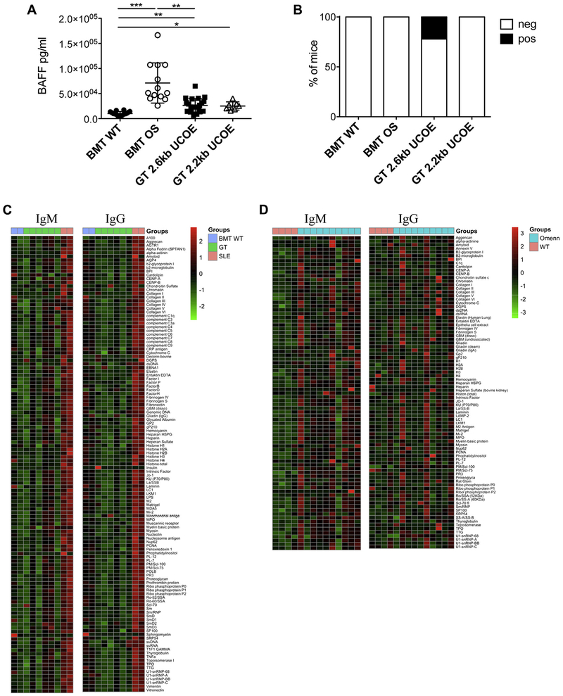 FIG 6.