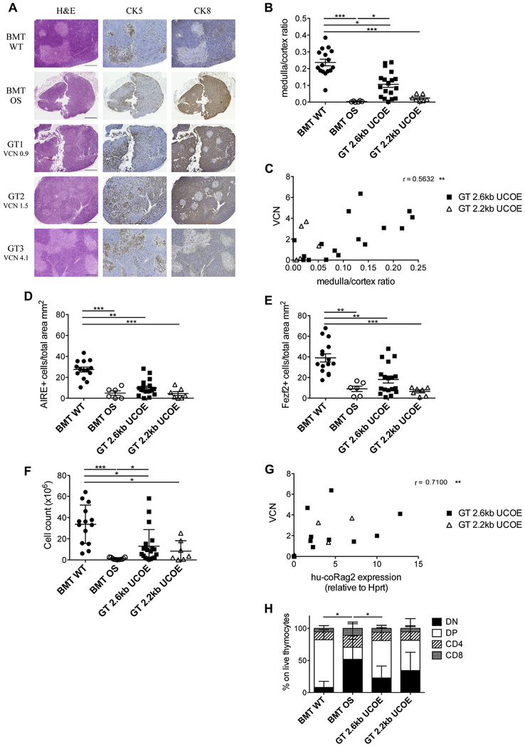 FIG 3.