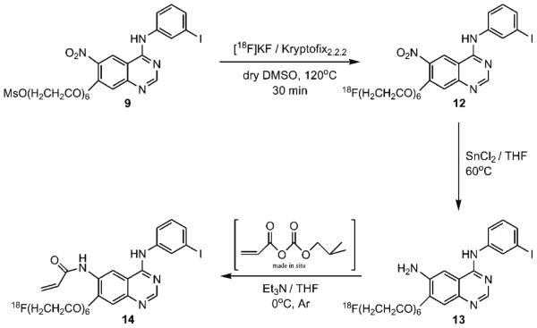 Scheme 2