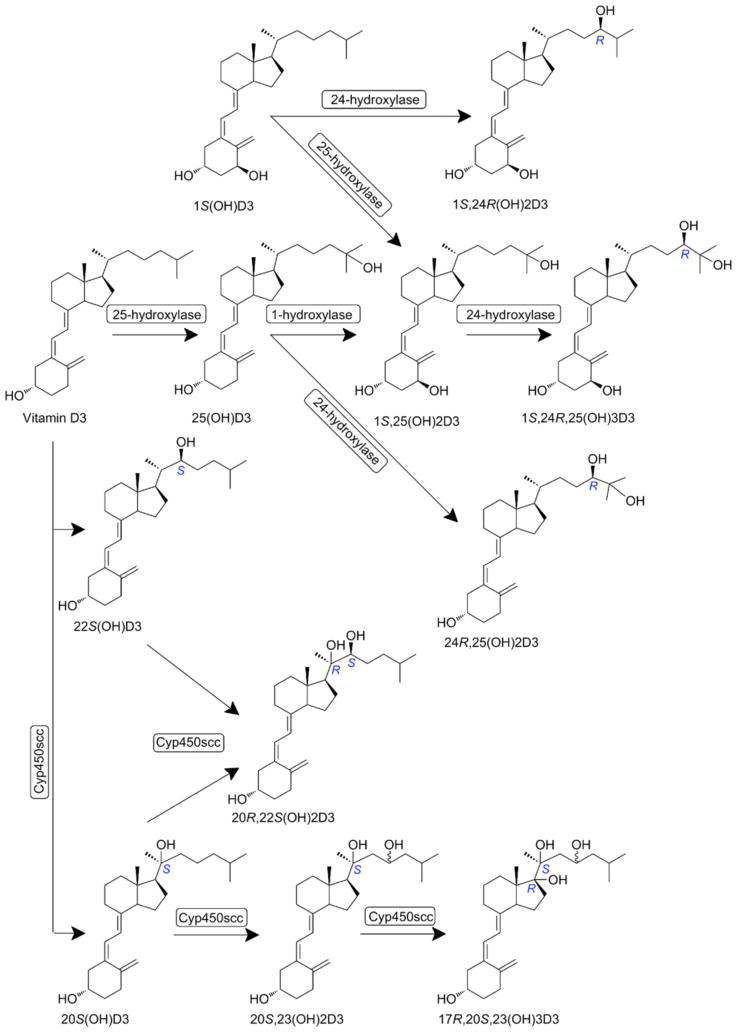 Fig. (8)