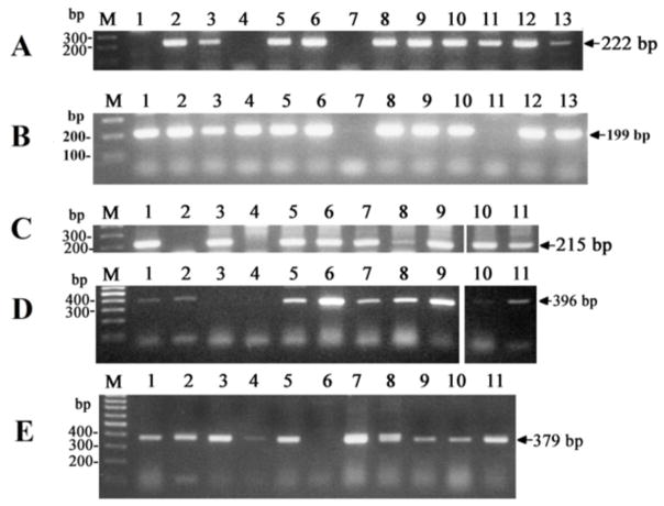 Fig. (7)