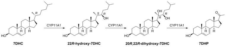 Fig. (6)