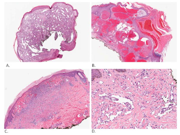 Fig. (3)