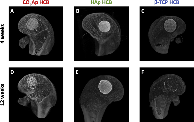 Fig. 7