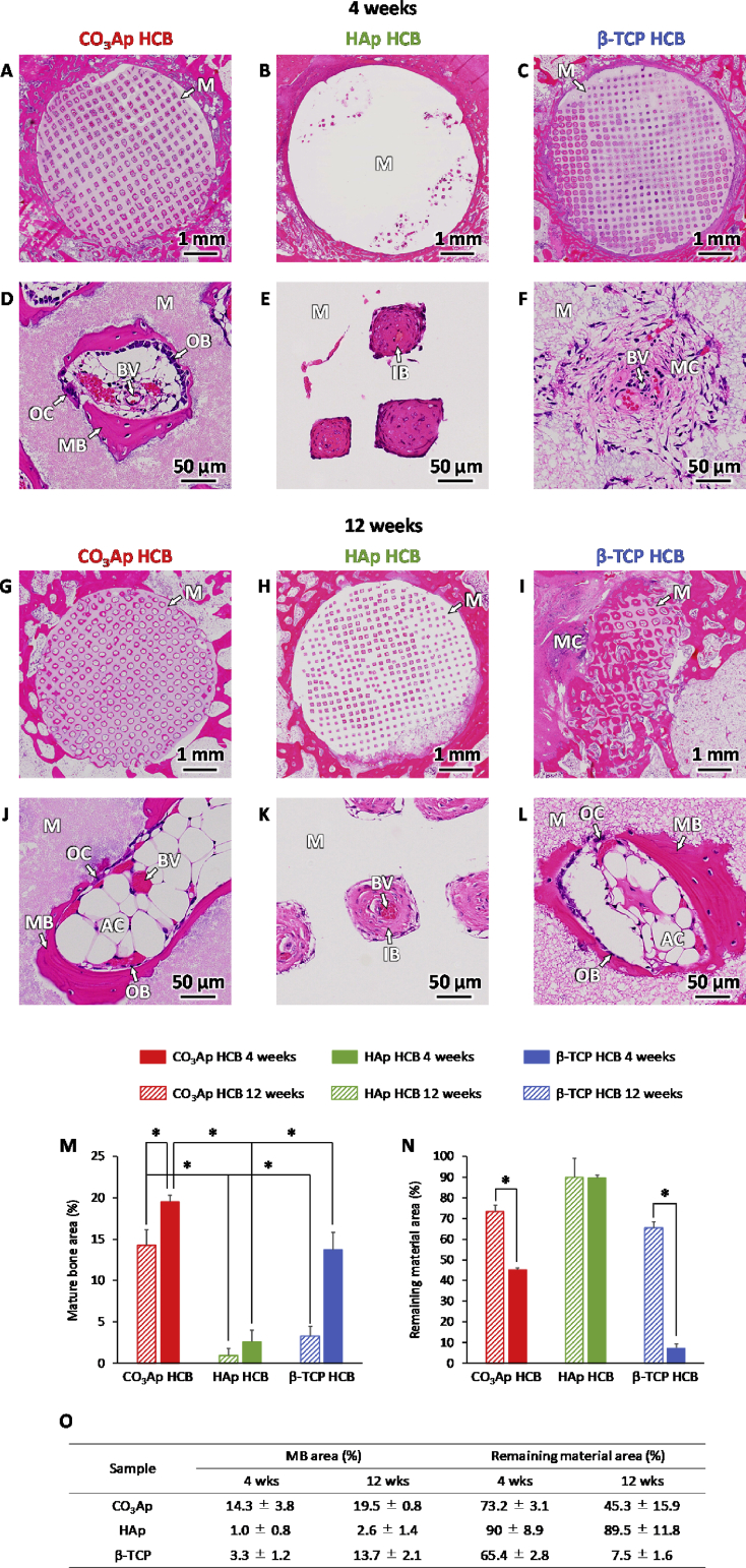 Fig. 8