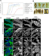 Fig 10