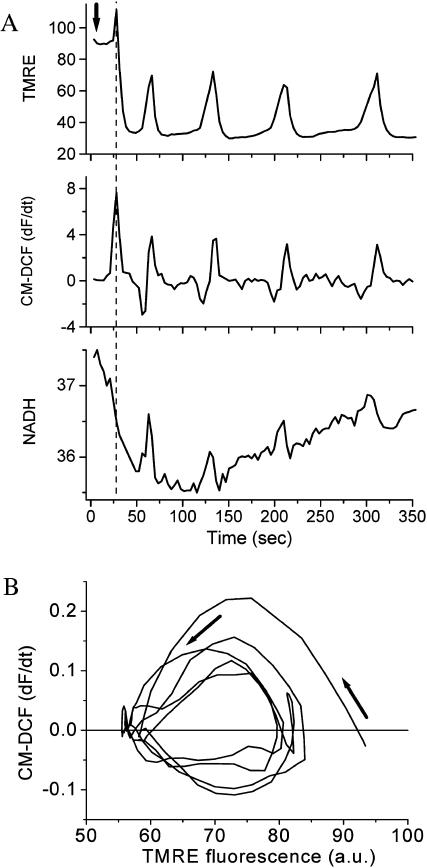 FIGURE 3