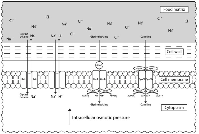 FIGURE 2