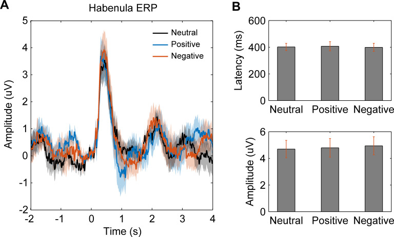 Figure 3—figure supplement 1.