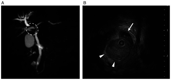 Figure 2.