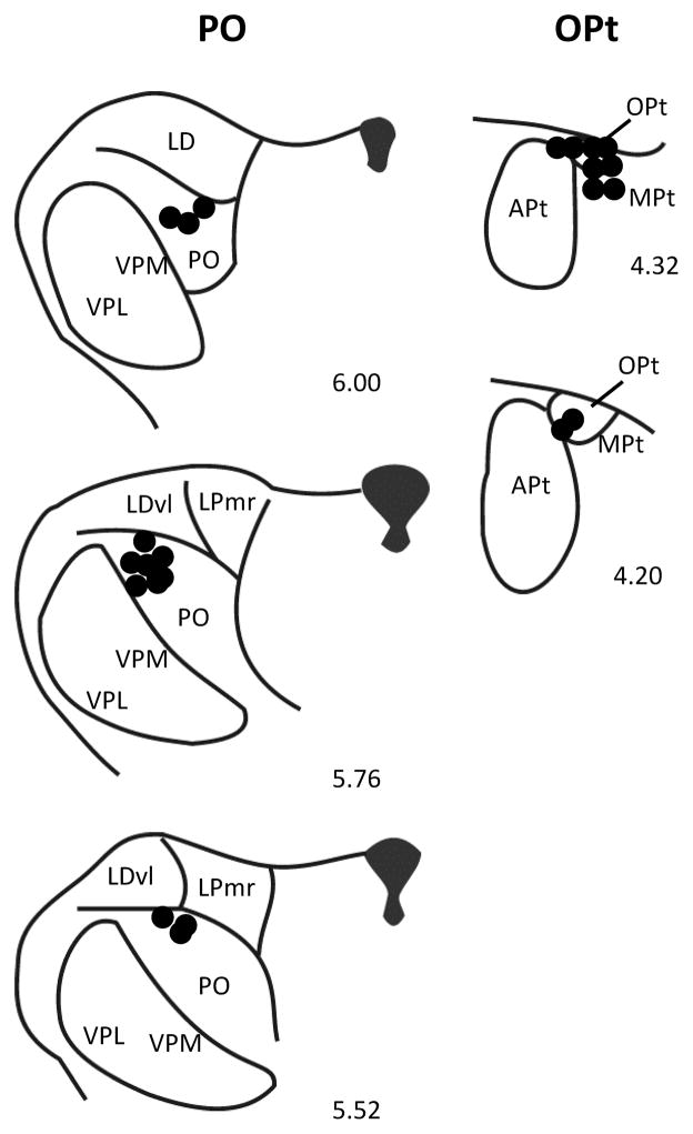 Fig. 9