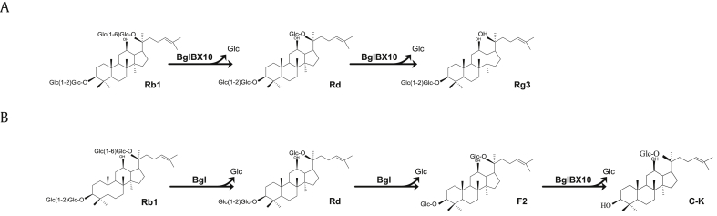 Fig. 3