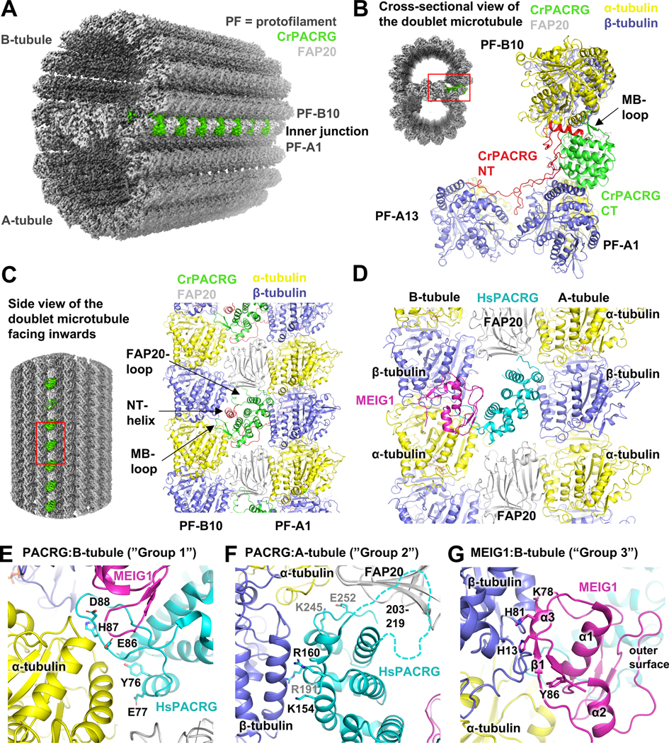 Figure 3.