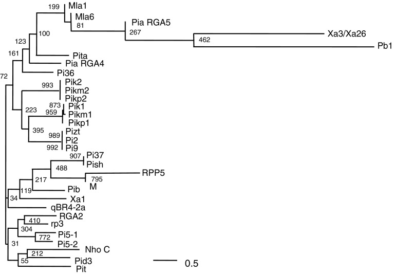 Fig. 5