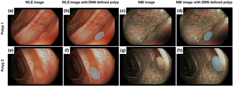 Fig. 2