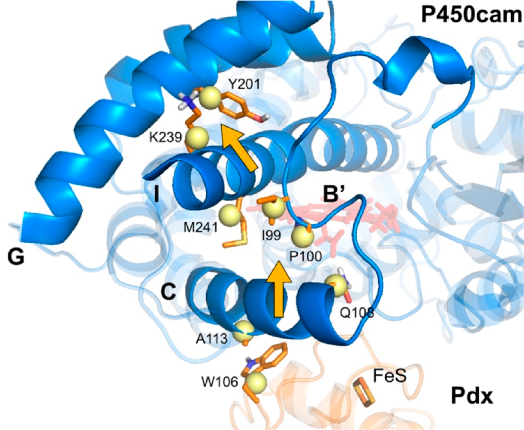 Figure 10.