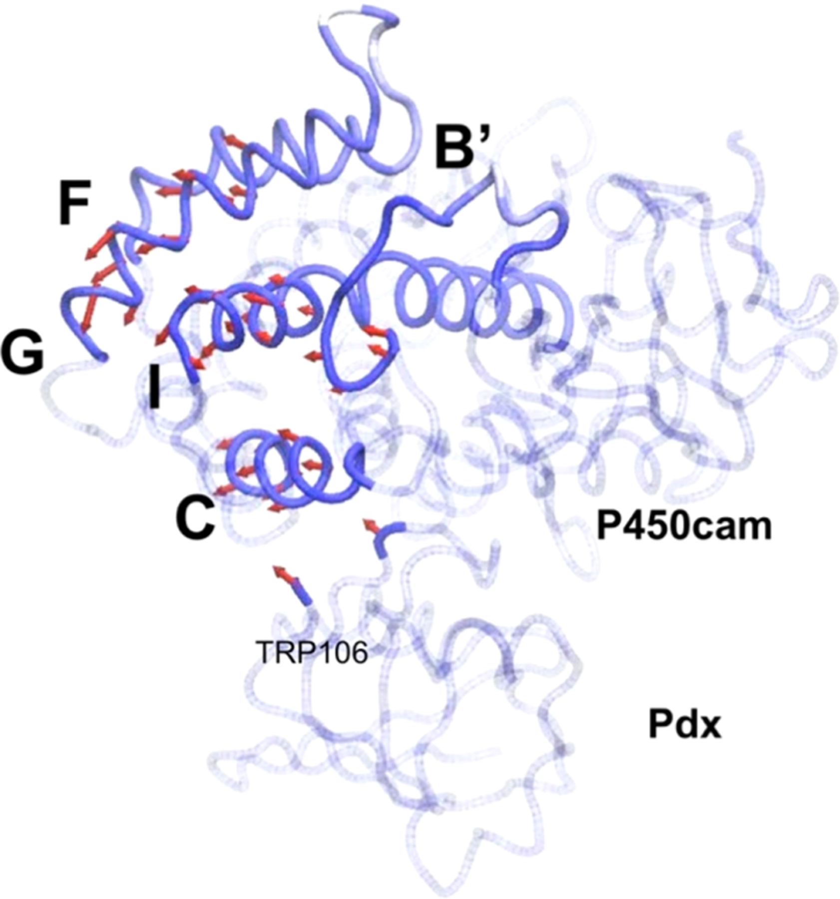 Figure 11.