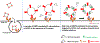 Extended Data Fig. 10 |