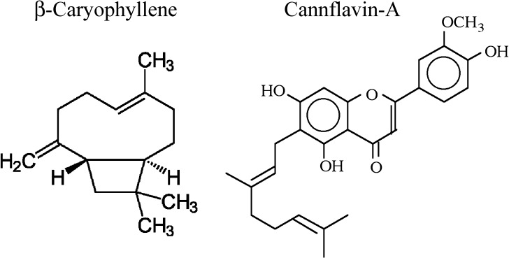 Fig. 5