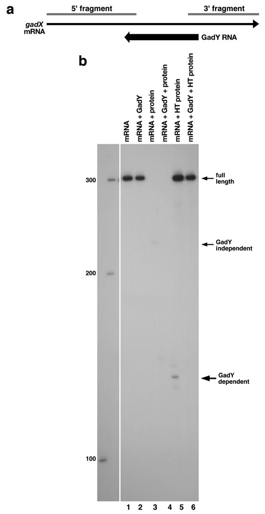 Fig. 5