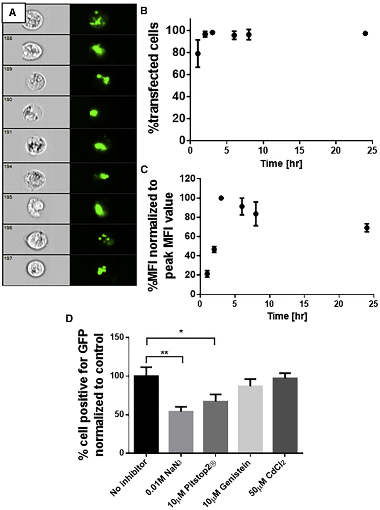 Figure 5