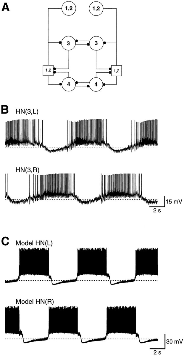 Fig. 1.