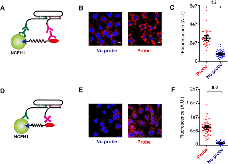 Fig. 3.