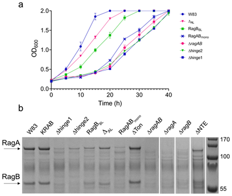 Extended Data Fig. 6