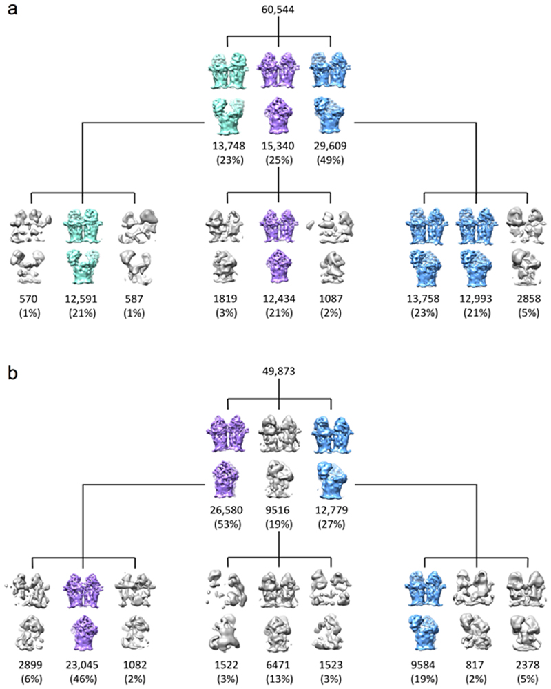 Extended Data Fig. 10