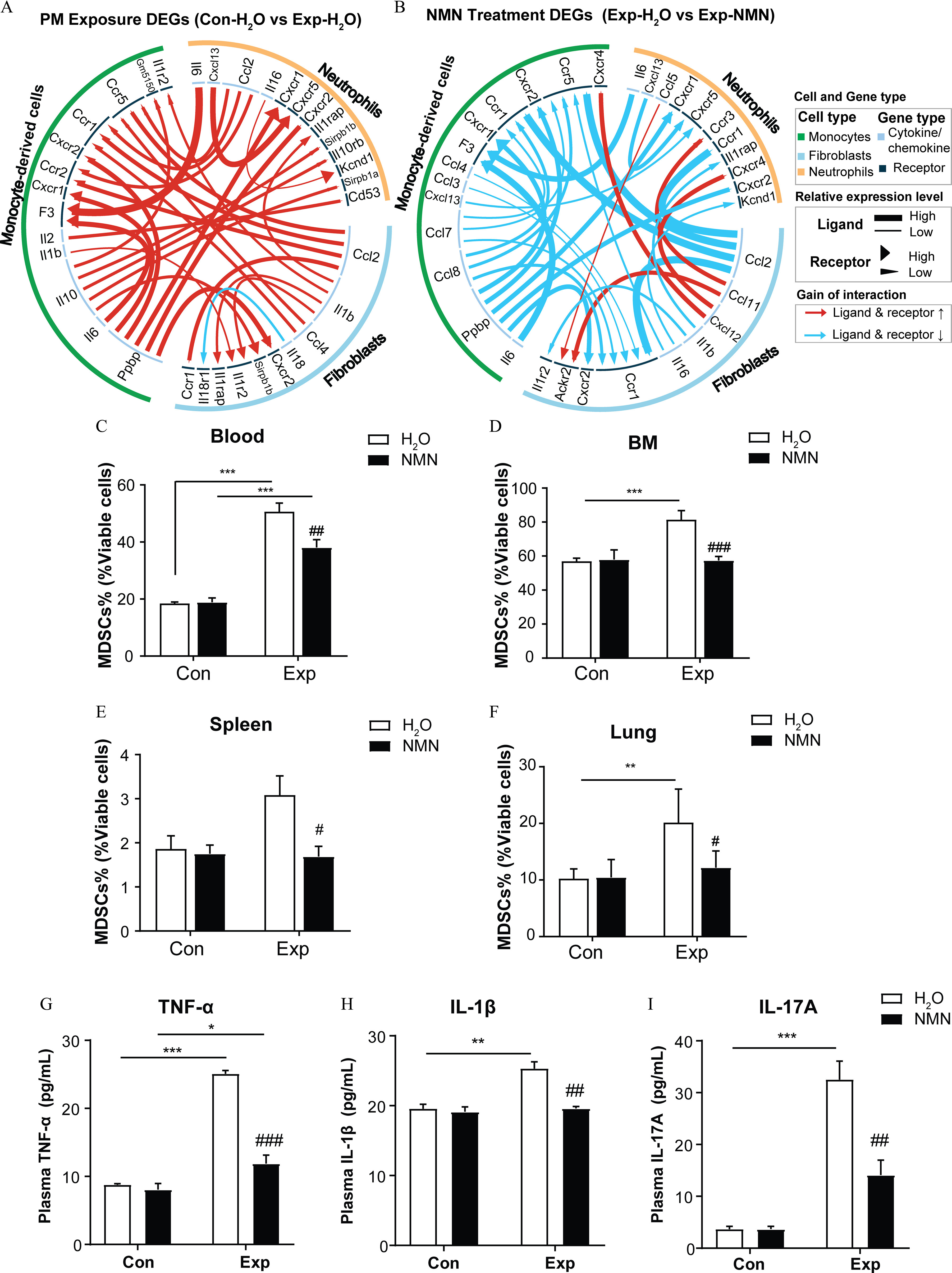 Figure 6A is a Circos plot titled particulate matter exposure differential expressed genes (concentration of water versus exposure of water) displays cellular interactions among neutrophils, monocyte-derived cells, and fibroblast. In neutrophils, there are thirteen potential legends or receptors, including Il6, Cxcl13, Ccl2, Il16, Cxcr1, Cxcr2, Il1rap, Sirpb1b, Il10rb, Kcnd1, Sirpb1a, Cd53. In fibroblasts, there are ten potential legends or receptors, including Ccl2, Il1b, Ccl4, Il18, Cxxr2, Sirpb1b, Il1r2, Il1rap, Il18r1, Ccr1. In monocyte-derived cells, there are thirteen potential legends or receptors, including Il1r2, Gm5150, Ccr5, Ccr1, Cxcr2, Ccr2, Cxcr1, F3, Il2, Il1b, Il10, Il6, Ppbp. Figure 6B is a Circos plot titled nicotinamide mononucleotide treatment differential expressed genes (exposure of water versus exposure of nicotinamide mononucleotide) displays cellular interactions among neutrophils, monocyte-derived cells, and fibroblast. In neutrophils, there are eleven potential legends or receptors, including, Il6, Cxxl13, Ccl5, Cxcr1, Cxcr5, Ccr3, Ccr1, Il1rap, Cxcr4, Cxcr2, Kcnd1. In fibroblasts, there are nine potential legends or receptors, including Ccl2, Ccl11, Cxcl12, Il1b, Il16, Ccr1, Ccr1, Cxcr2, Ackr2, Il1r2. In monocyte-derived cells, there are thirteen potential legends or receptors, including Cxcr4, Ccr5, Cxcr2, Ccr1, Cxcr1, F3, Ccl4, Ccl3, Cxcl13, Ccl7, Ccl8, Ppbp, Il6. There are three cell types, namely, Monocytes, fibroblasts, and neutrophils. There are two gene type, namely, cytokine or chemokine and receptor. Under relative expression level, the ligand is divided into two parts, namely, high and low. The receptor is divided into two parts, namely, high and low. Under gain of interaction, the upward and downward arrows represent ligand and receptor. Figures 6C to 6I are bar graphs titled blood, bone marrow, spleen, lung, tumor necrosis factor lowercase alpha, interleukin 1 lowercase beta, interleukin 17 uppercase a, plotting, myeloid-derived suppressor cells percent (percent viable cells), ranging from 0 to 60 in increments of 20; myeloid-derived suppressor cells percent (percent viable cells), ranging from 0 to 100 in increments of 20; plasma tumor necrosis factor lowercase alpha (picogram per milliliter), ranging 0 to 30 in increments of 10; plasma interleukin 1 lowercase beta (picogram per milliliter), ranging from 0 to 30 in increments of 10; plasma interleukin 17 lowercase a (picogram per milliliter), ranging from 0 to 40 in increments of 10 (y-axis) across concentration and exposure (x-axis) for water and nicotinamide mononucleotide, respectively.